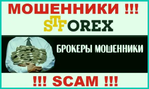 Воры STForex только лишь задуривают мозги валютным трейдерам, обещая заоблачную прибыль
