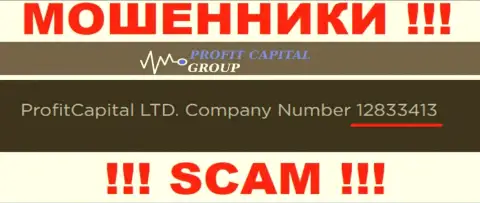 Номер регистрации Profit Capital Group, который предоставлен мошенниками у них на сайте: 12833413