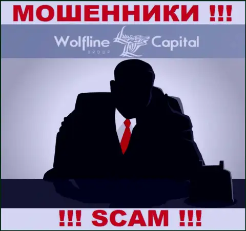 Не тратьте свое время на поиск инфы о непосредственном руководстве Wolfline Capital, абсолютно все данные скрыты