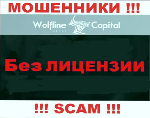 Невозможно отыскать информацию об лицензионном документе internet шулеров Wolfline Capital - ее просто не существует !