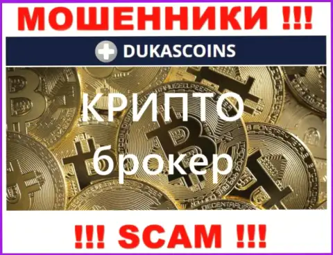 Род деятельности internet жуликов ДукасКоин - это Crypto trading, однако имейте ввиду это кидалово !!!