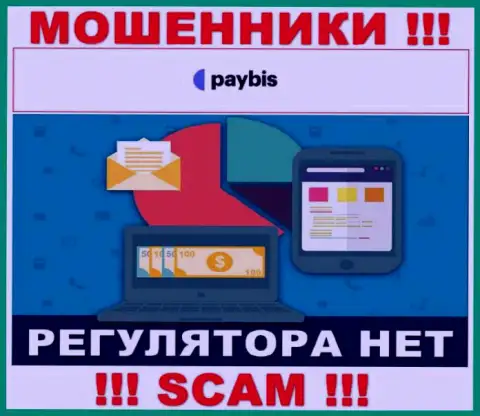 У PayBis на интернет-ресурсе не найдено сведений о регулирующем органе и лицензии компании, значит их вовсе нет