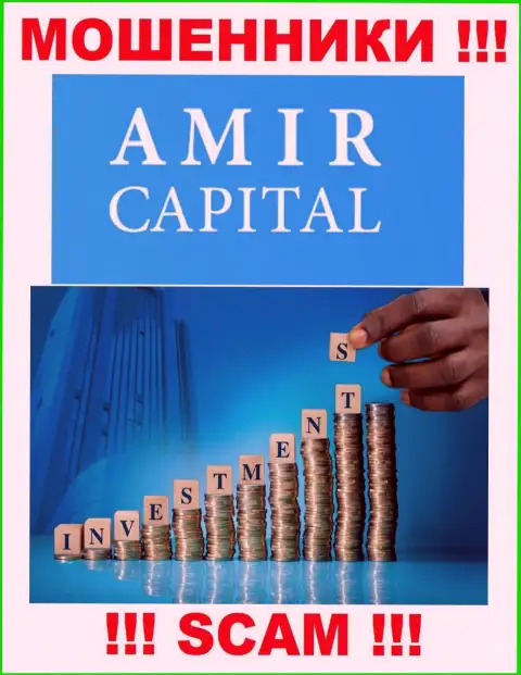 Не переводите денежные активы в Amir Capital, род деятельности которых - Инвестиции