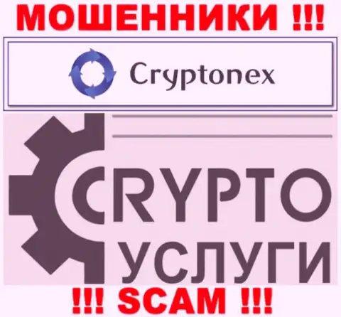 Имея дело с CryptoNex Org, область деятельности которых Крипто услуги, рискуете остаться без своих денежных вкладов