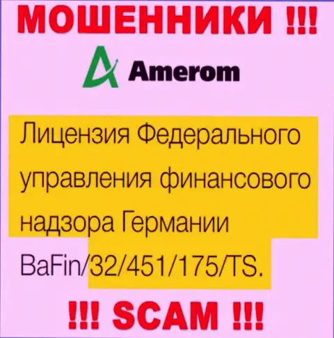 На информационном портале Amerom De показана их лицензия, но это настоящие мошенники - не нужно доверять им