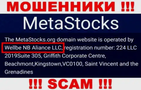 Юридическое лицо организации Meta Stocks - это Веллбе НБ Алиансе ЛЛК, информация взята с официального сайта
