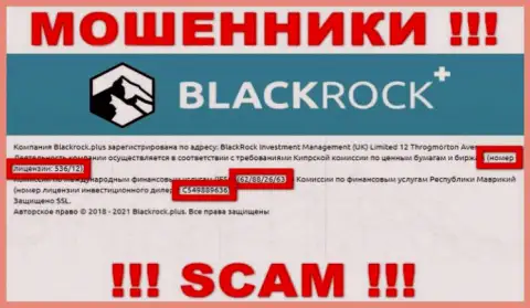 BlackRock Plus прячут свою жульническую суть, показывая у себя на веб-ресурсе лицензию