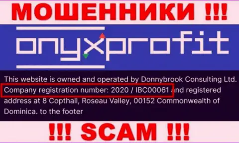 Регистрационный номер, который принадлежит организации Onyx Profit - 2020 / IBC00061