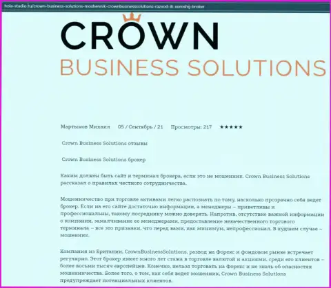 Обзорная статья про брокерскую компанию Crown Business Solutions на web-портале Hola-Studio Ru