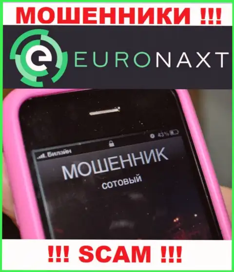Вас могут развести на деньги, EuroNaxt Com подыскивают новых доверчивых людей