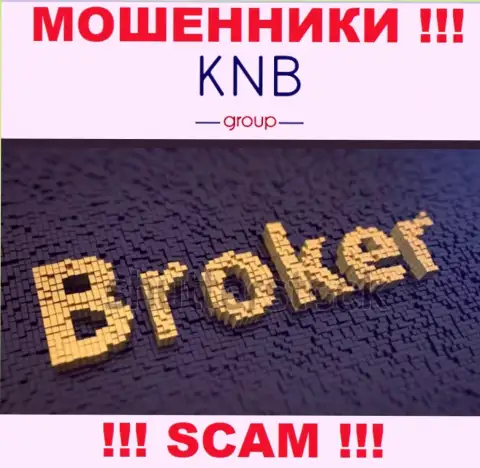 Область деятельности мошеннической компании KNB Group - это Broker